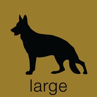 Large Dog