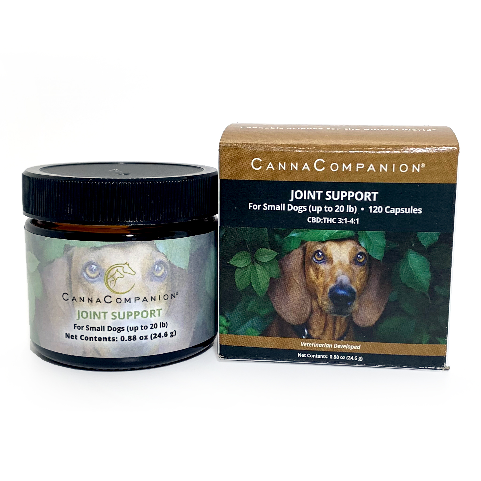 Improving Your Dog’s Joint Health with CBD for Pets Canna Companion